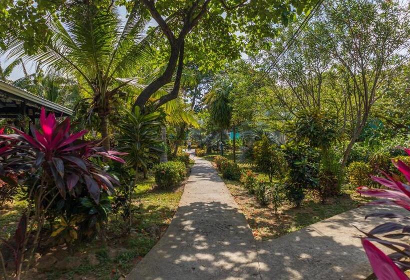 هتل Seagrape Plantation Resort & Dive Center