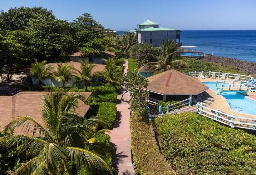 هتل Seagrape Plantation Resort & Dive Center