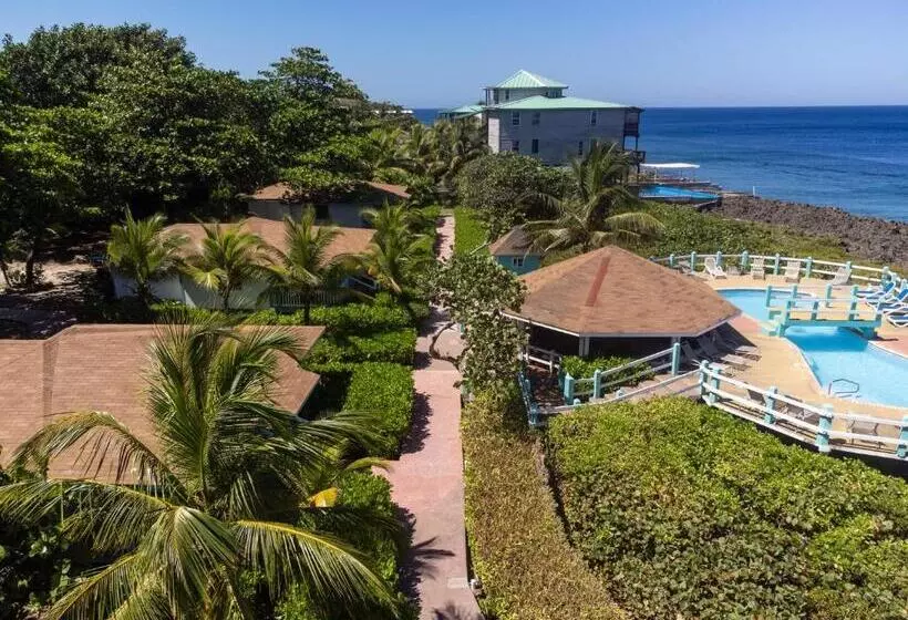 هتل Seagrape Plantation Resort & Dive Center
