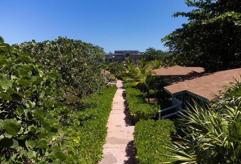 هتل Seagrape Plantation Resort & Dive Center