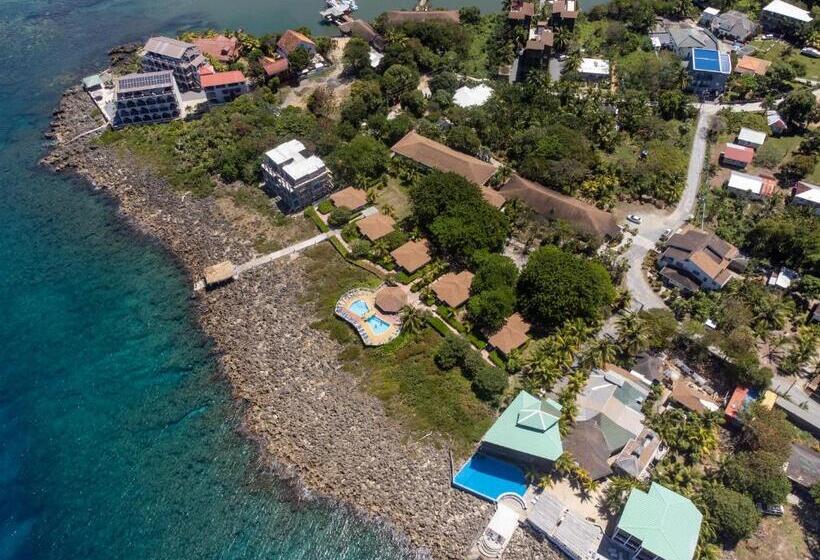 هتل Seagrape Plantation Resort & Dive Center