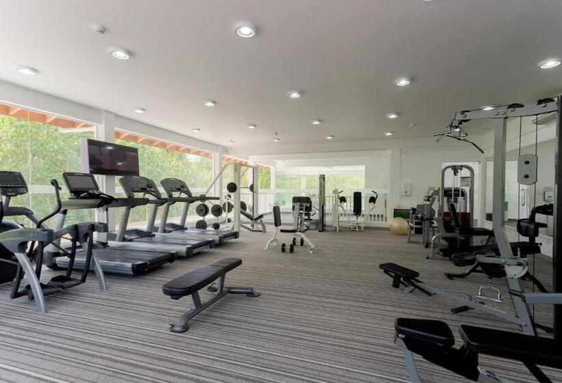 리조트 Bandos Maldives