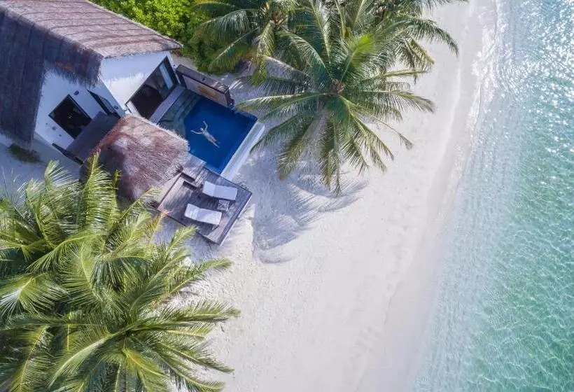 استراحتگاه Bandos Maldives