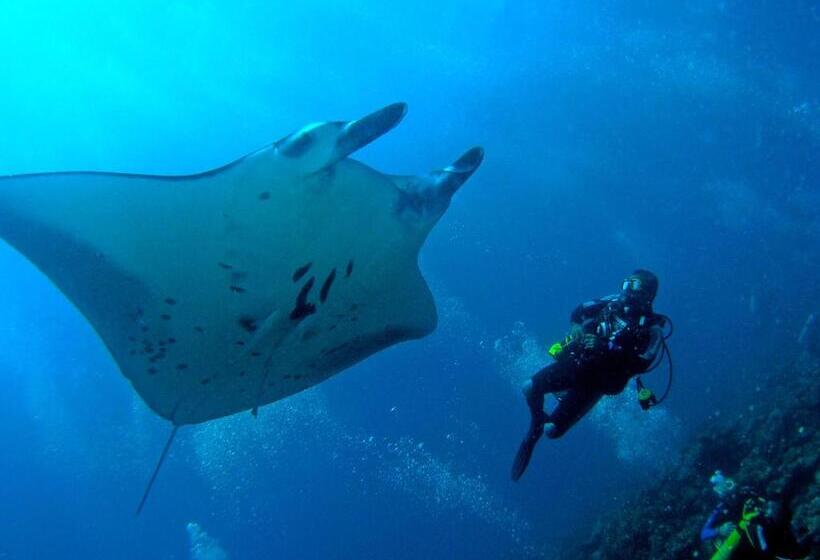 리조트 Bandos Maldives