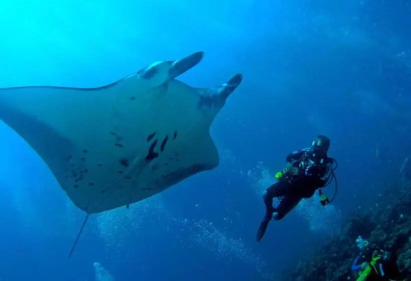 استراحتگاه Bandos Maldives