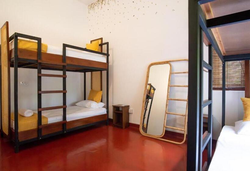 فندق صغير Bunkalow