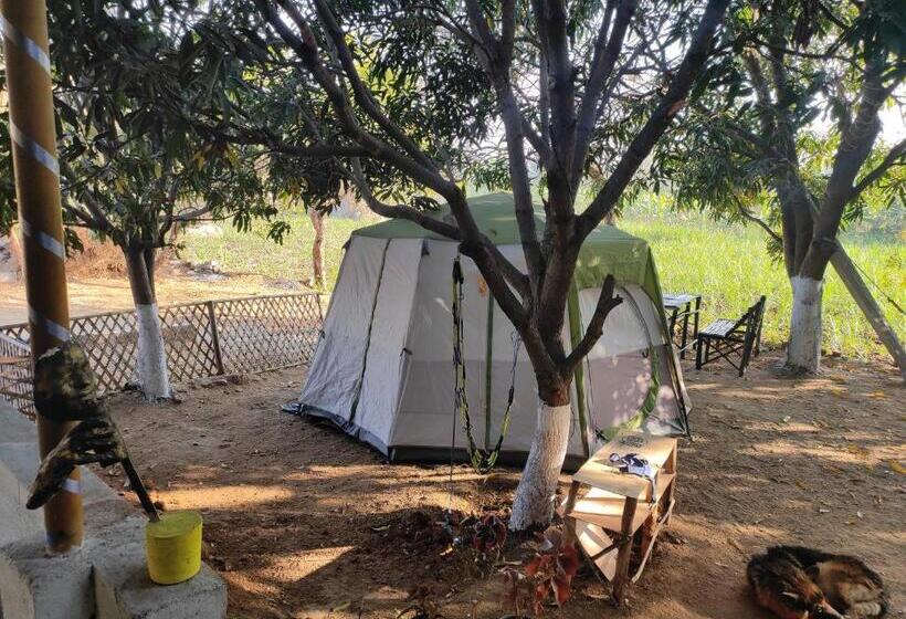 민박 Hampi Hidden Vibe