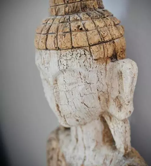 ベッドアンドブレックファースト Wine Spa Occitanie