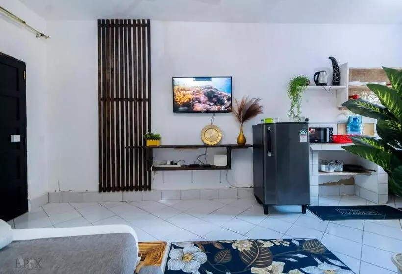 Cool Breeze Studio
