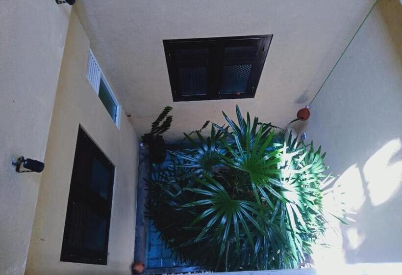 Hotel Paddy Bungalow