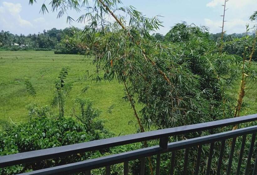 Hotel Paddy Bungalow