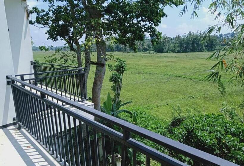 Hotel Paddy Bungalow