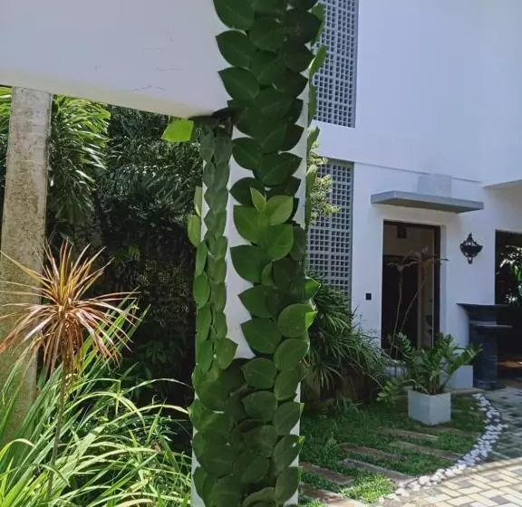 ホテル Paddy Bungalow