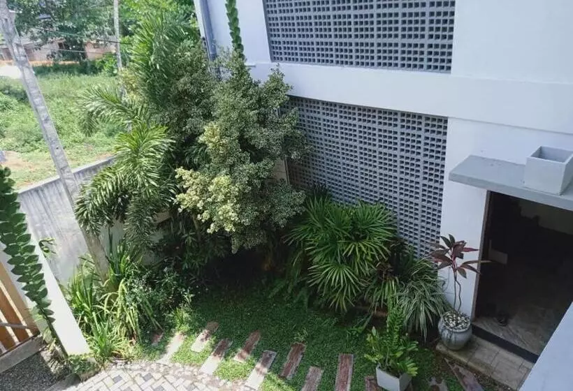 ホテル Paddy Bungalow
