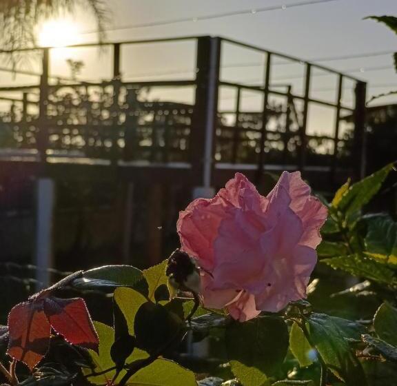 호텔 Pousada 4 Estações Itapoa