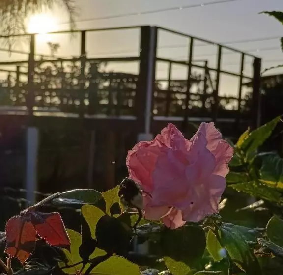 Hotelli Pousada 4 Estações Itapoa