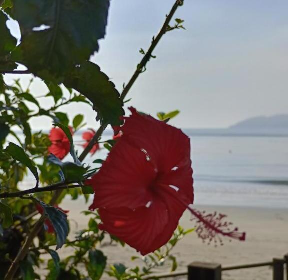 호텔 Pousada 4 Estações Itapoa