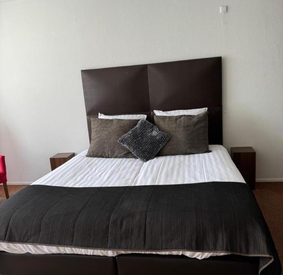 酒店 T Centrum Reusel