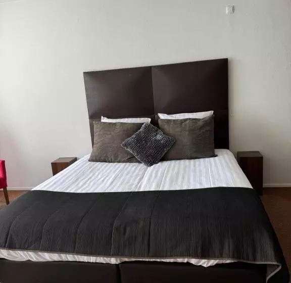 Hotelli T Centrum Reusel