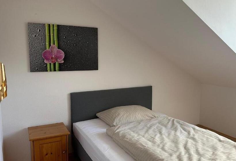 بنسيون Apoli24