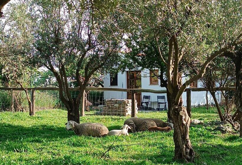 ペンション Cortijo De Amor