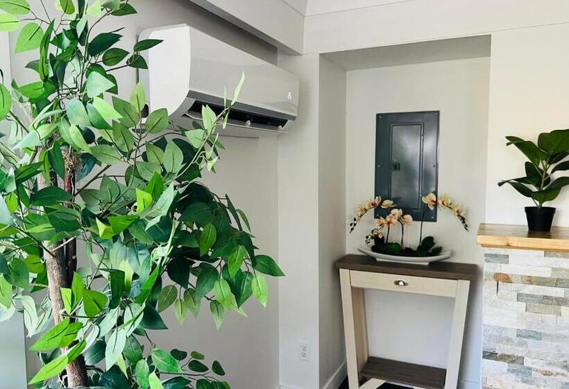 Pansiyon Downtown 2b1b Private Suite