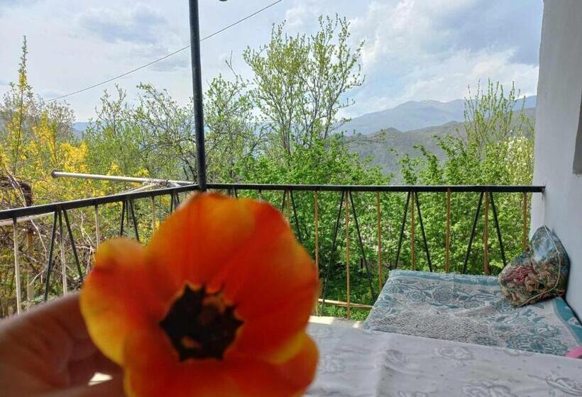 پانسیون Vamesa