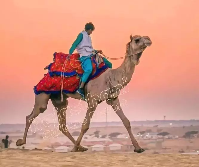 Rajasthani Culture Resort Jaisalmer