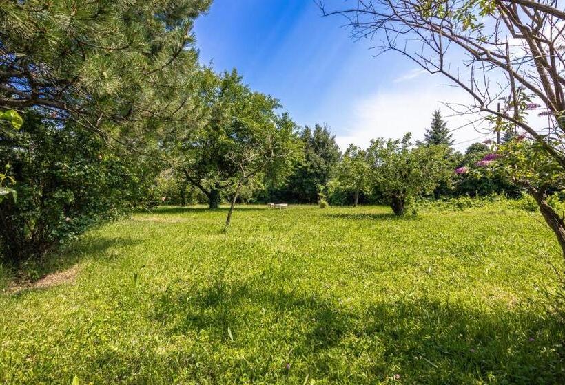 هاستل Comfy Rooms In Shared Villa With Terrace And Garden