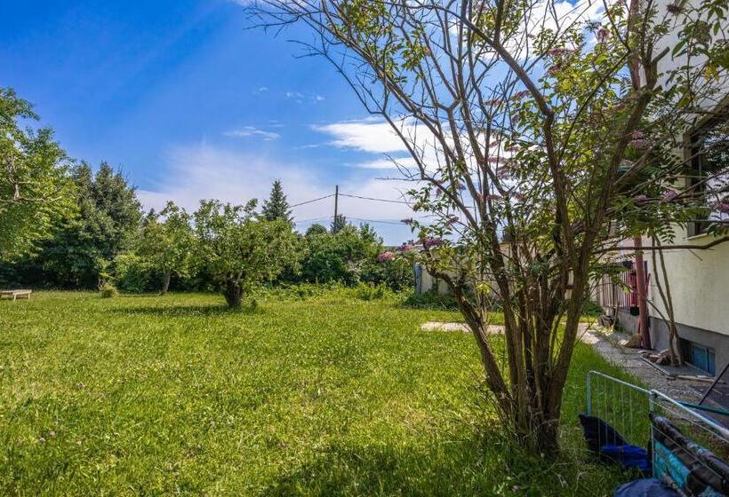 هاستل Comfy Rooms In Shared Villa With Terrace And Garden