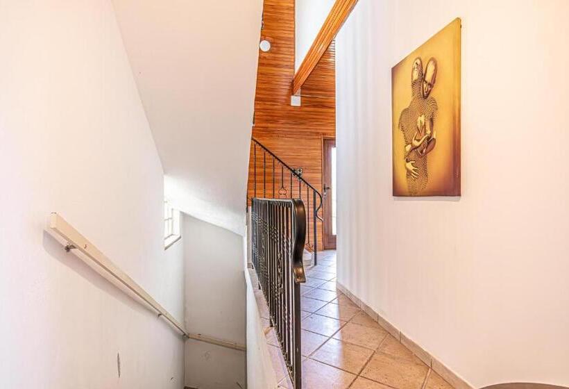 هاستل Comfy Rooms In Shared Villa With Terrace And Garden