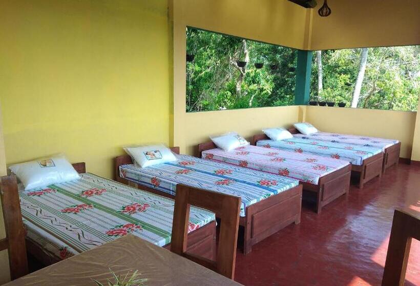 Hostel Why Not Guesthouse