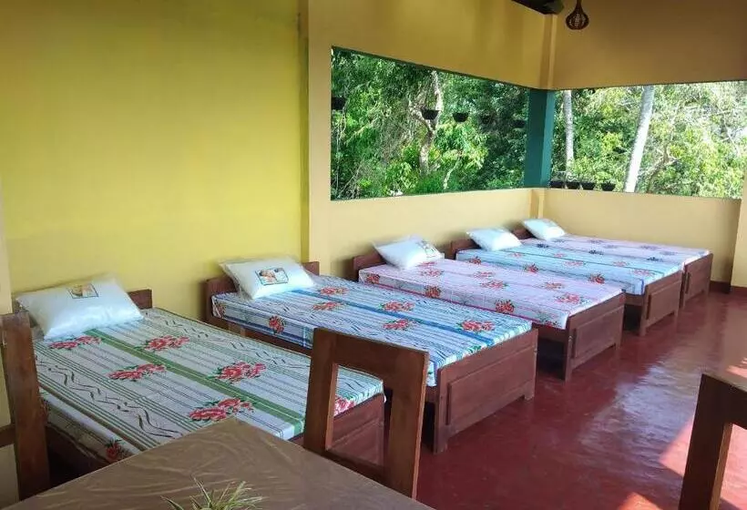 Retkeilymaja Why Not Guesthouse