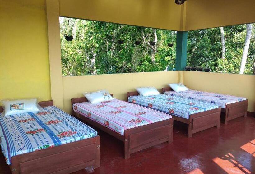 Hostel Why Not Guesthouse