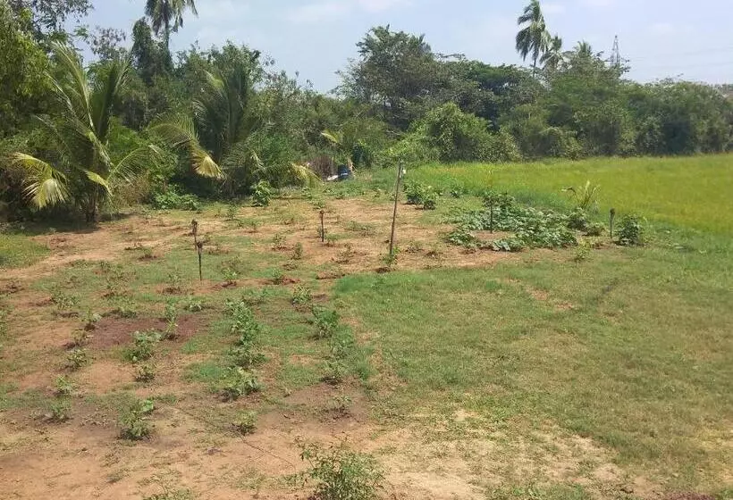 Retkeilymaja Why Not Guesthouse