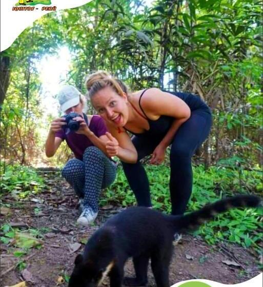 تختخواب و صبحانه A&t Amazon Backpacker`s