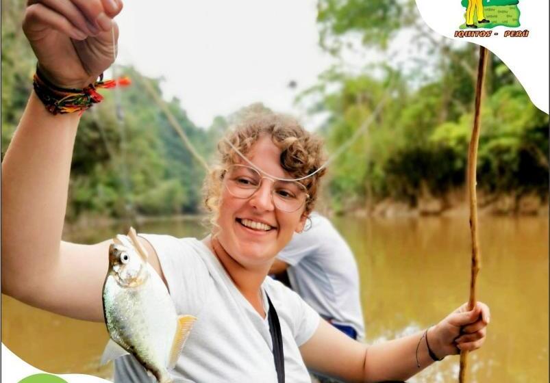 تختخواب و صبحانه A&t Amazon Backpacker`s