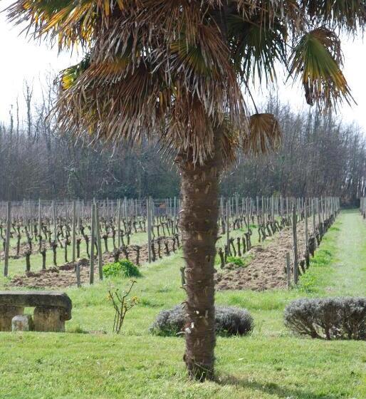 민박 Chambres D Hôtes De Charme Dans Un Vignoble