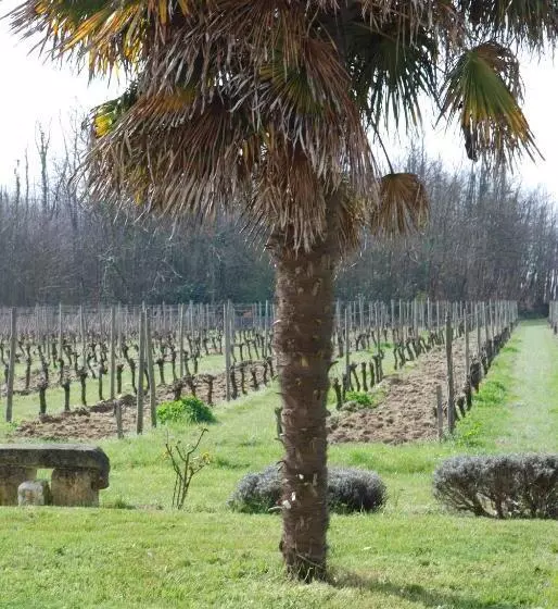 Aamiaismajoitus (B&B) Chambres D Hôtes De Charme Dans Un Vignoble
