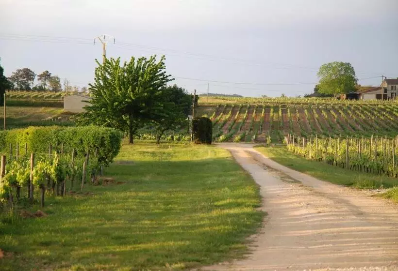 Aamiaismajoitus (B&B) Chambres D Hôtes De Charme Dans Un Vignoble