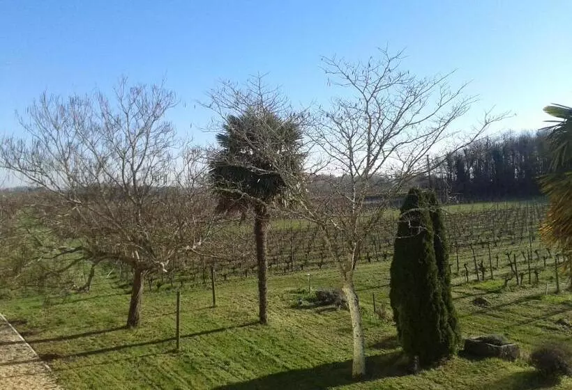 Aamiaismajoitus (B&B) Chambres D Hôtes De Charme Dans Un Vignoble