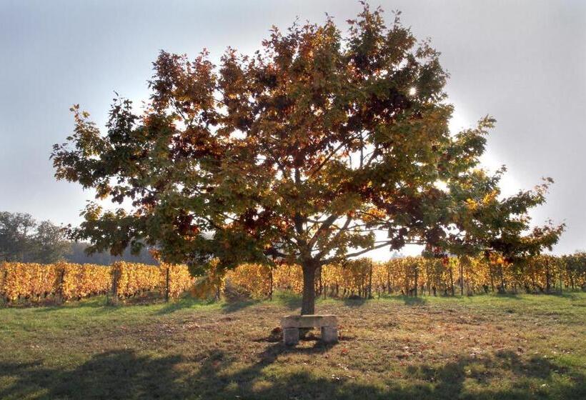 민박 Chambres D Hôtes De Charme Dans Un Vignoble