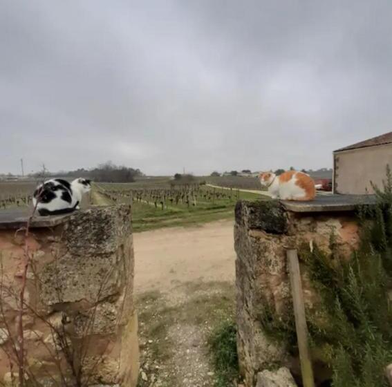 민박 Chambres D Hôtes De Charme Dans Un Vignoble