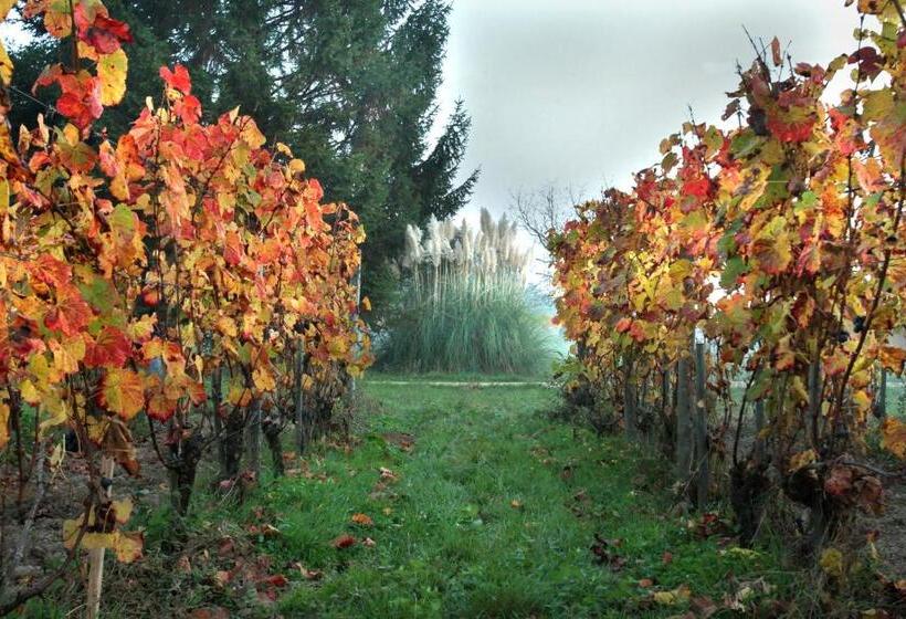 민박 Chambres D Hôtes De Charme Dans Un Vignoble
