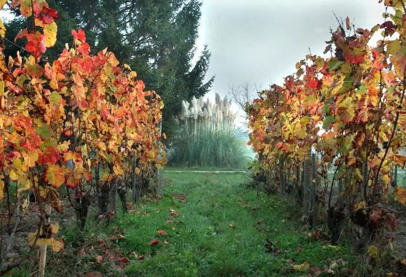 Aamiaismajoitus (B&B) Chambres D Hôtes De Charme Dans Un Vignoble
