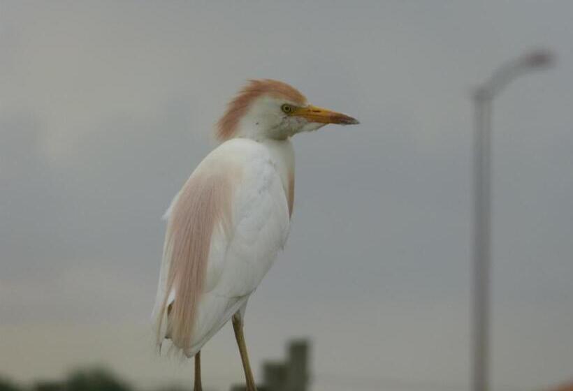 민박 Chambres D Hôtes De Charme Dans Un Vignoble