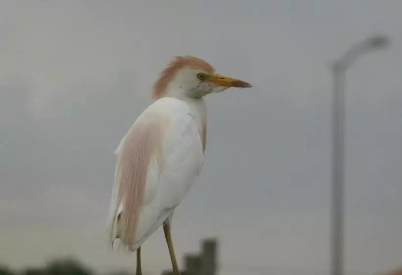 Aamiaismajoitus (B&B) Chambres D Hôtes De Charme Dans Un Vignoble