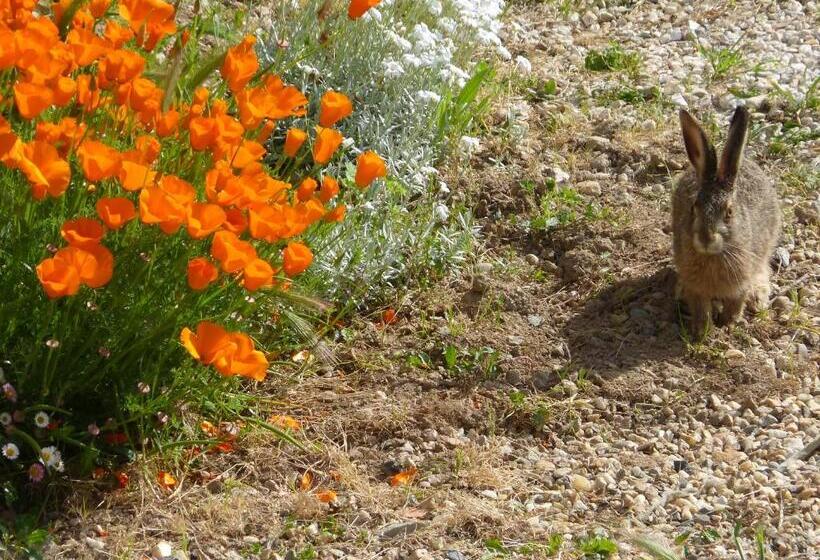 민박 Chambres D Hôtes De Charme Dans Un Vignoble