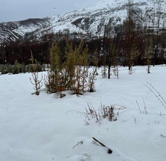 Chimgan Forest Garden Camping Resort