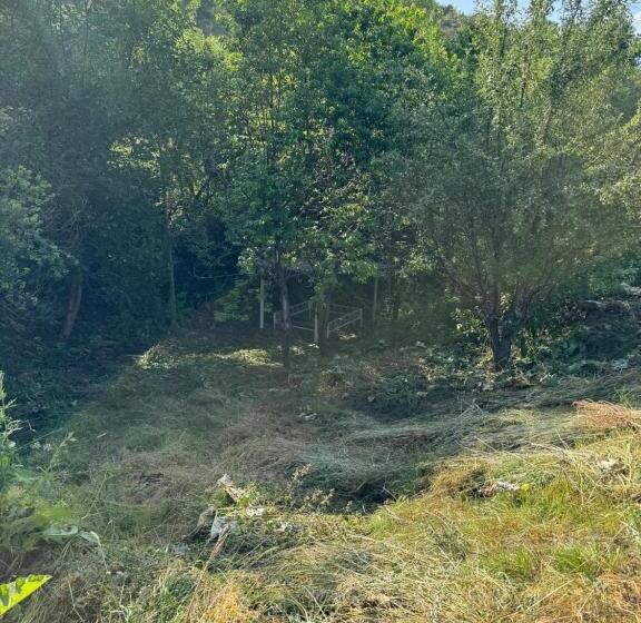 Chimgan Forest Garden Camping Resort